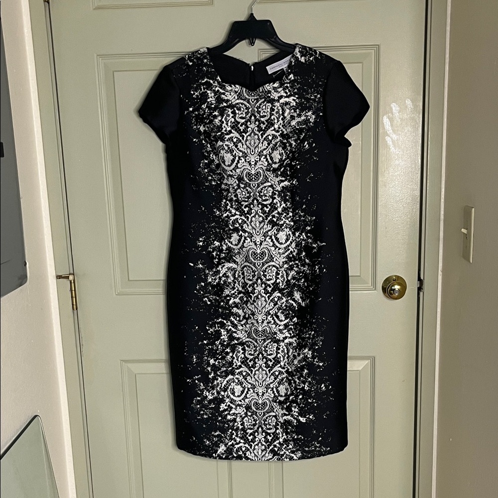 Carolina Herrera Black Dress with White Lace-Print Center Panel